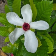 Why Worry Homestay & Cafe