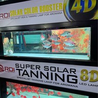 ตลาดปลาจตุจักร