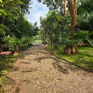 Why Worry Homestay & Cafe