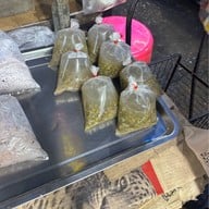 ตลาดฉัตรไชย