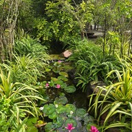 Why Worry Homestay & Cafe