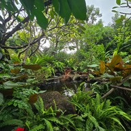 Why Worry Homestay & Cafe