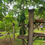 Why Worry Homestay & Cafe