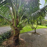 Why Worry Homestay & Cafe