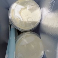 Nose tea เซ็นทรัลพระราม2 (Central Rama2)