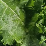 น้ำเคล และ น้ำผลไม้ (ส้ม เสาวรส ฝรั่ง มะม่วง และ ตามฤดูกาล)