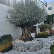 Artemis Cafe Bangsaen Artemis Cafe Bangsaen