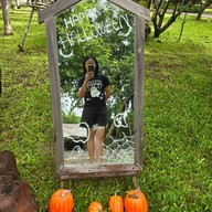 Why Worry Homestay & Cafe