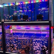 ตลาดปลาจตุจักร