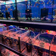 ตลาดปลาจตุจักร