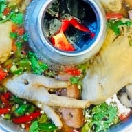 ครัวประดิพัทธ์ ประดิพัทธ์