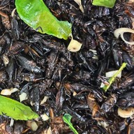 แมลงทอดไข่แน่นๆจุกๆ🦗