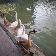 บรรยากาศ ตลาดบองมาเช่