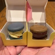 SOURI Paragon Take home