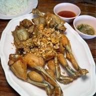 กบทอดท่ามะกา