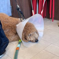 TEDS Coffee & Eatery