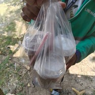 หอมนม หอมนม ถนนลพบุรีราเมศวร์