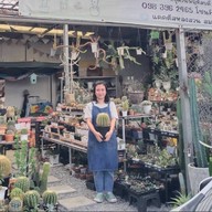 แคคตัสหลงสวนสมบัติบุรี  จำหน่ายแคคตัส กระบองเพชร และไม้อวบน้ำ ไม้ใบ ไม้ฟอกอากาศ สมุนไพร วัสดุปลูก