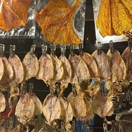 หมึกแถวไหน