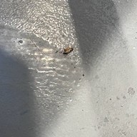 Factory Buffet อุดมสุข