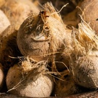 มะพร้าวน้ำหอมเผา🥥