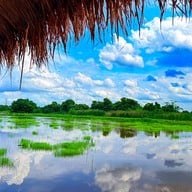 กินเตี๋ยว ชมทุ่ง หทัยราษฎร์22