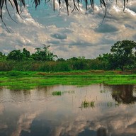 กินเตี๋ยว ชมทุ่ง หทัยราษฎร์22