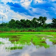 กินเตี๋ยว ชมทุ่ง หทัยราษฎร์22