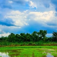 กินเตี๋ยว ชมทุ่ง หทัยราษฎร์22