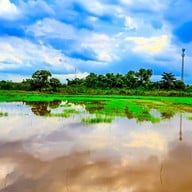 กินเตี๋ยว ชมทุ่ง หทัยราษฎร์22