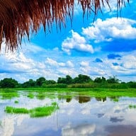 กินเตี๋ยว ชมทุ่ง หทัยราษฎร์22