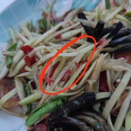 เมนูของร้าน ข้าวขาหมูเกษตร เกษตรศาสตร์