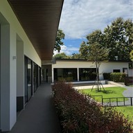 Tiny tank dog community chiangmai