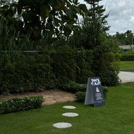 Tiny tank dog community chiangmai