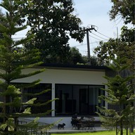 Tiny tank dog community chiangmai