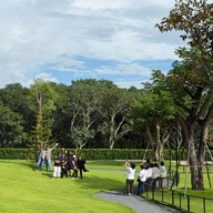Tiny tank dog community chiangmai