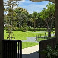 Tiny tank dog community chiangmai