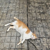 Camper coffee & Bar บางหัวเสือ