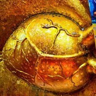 วัดบางพลีใหญ่กลาง