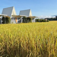 บ้านนามนเทียร