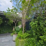 บรรยากาศ NANA Coffee Roaster เซ็นทรัลเวสต์วิลล์ ราชพฤกษ์