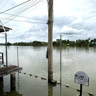 หนอคอฟฟี่