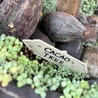 AUDIVA workshop cafe AUDIVA workshop cafe