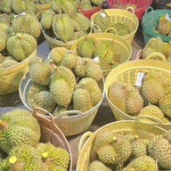 ร้านทุเรียนฟีเวอร์ เขต8