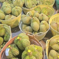 ร้านทุเรียนฟีเวอร์ เขต8