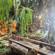 บรรยากาศ Coffee 47 & Restaurant