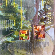 AUDIVA workshop cafe AUDIVA workshop cafe