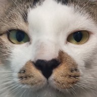 ไม่อร่อยแต่อยากขาย-ตามใจแม่ค้า