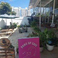 หน้าร้าน Paws Up Cafe กาแฟและชา พัฒนาการ พัฒนาการ52