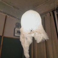 บรรยากาศ แมวตกปลา -